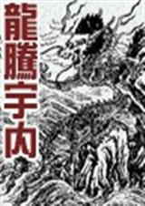 龙腾宇内