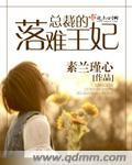 总裁的落难王妃