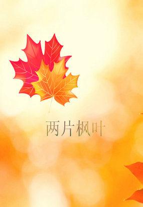 两片枫叶