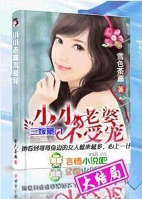 小小老婆不受宠