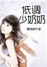 低调少奶奶全文