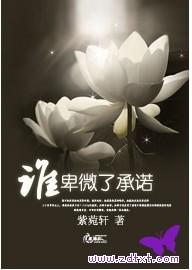 谁卑微了承诺