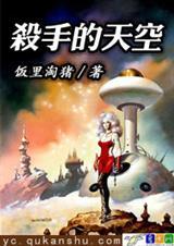 杀手的天空