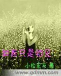 如若只是初见