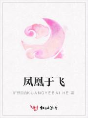 凤凰于飞