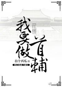 (红楼同人)[红楼]我要做首辅