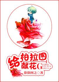 给柏拉图献花