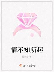 情不知所起