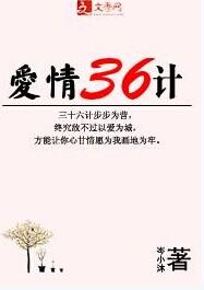 爱情三十六计