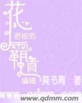 花心老板的霸道编辑