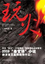 官场小人物的拼搏史玩火