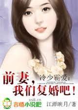冷少霸爱:前妻,我们复婚吧！