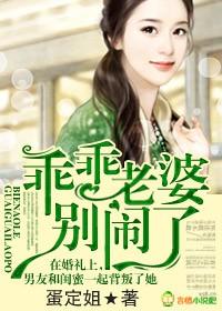 乖乖老婆,别闹了