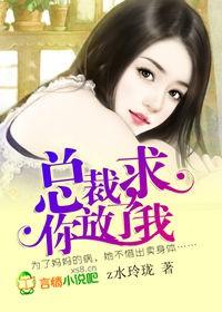 总裁,求你放了我