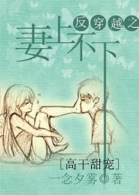 反穿越之妻上不下