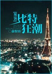 比特狂潮[黑客]