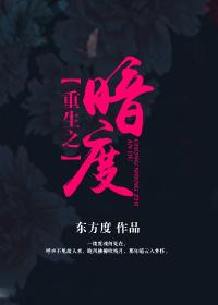 重生之暗度
