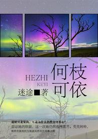 何枝可依（限）