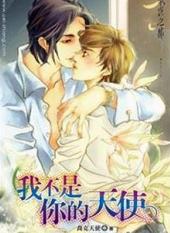 我不是你的天使[出书版]