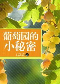 葡萄园的小秘密