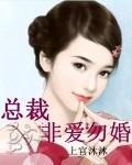 总裁非爱勿婚