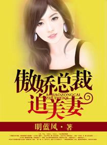 傲娇总裁追美妻