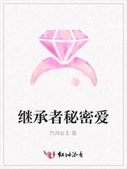 继承者秘密爱