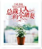 总裁大人的小甜妻