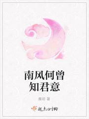 南风知意
