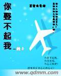 你娶不起我