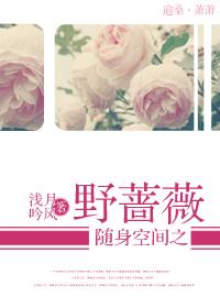 随身空间之野蔷薇