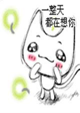 至尊的恩宠
