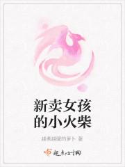 卖女孩的小火柴
